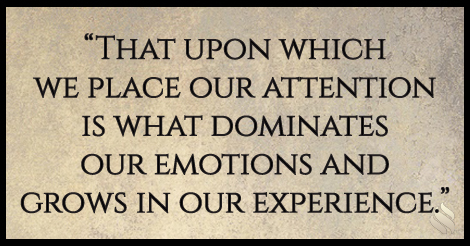 Where are you placing your attention?