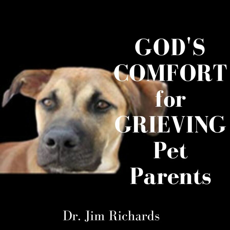 God's Comfort For Grieving Pet Parents Impact Ministries