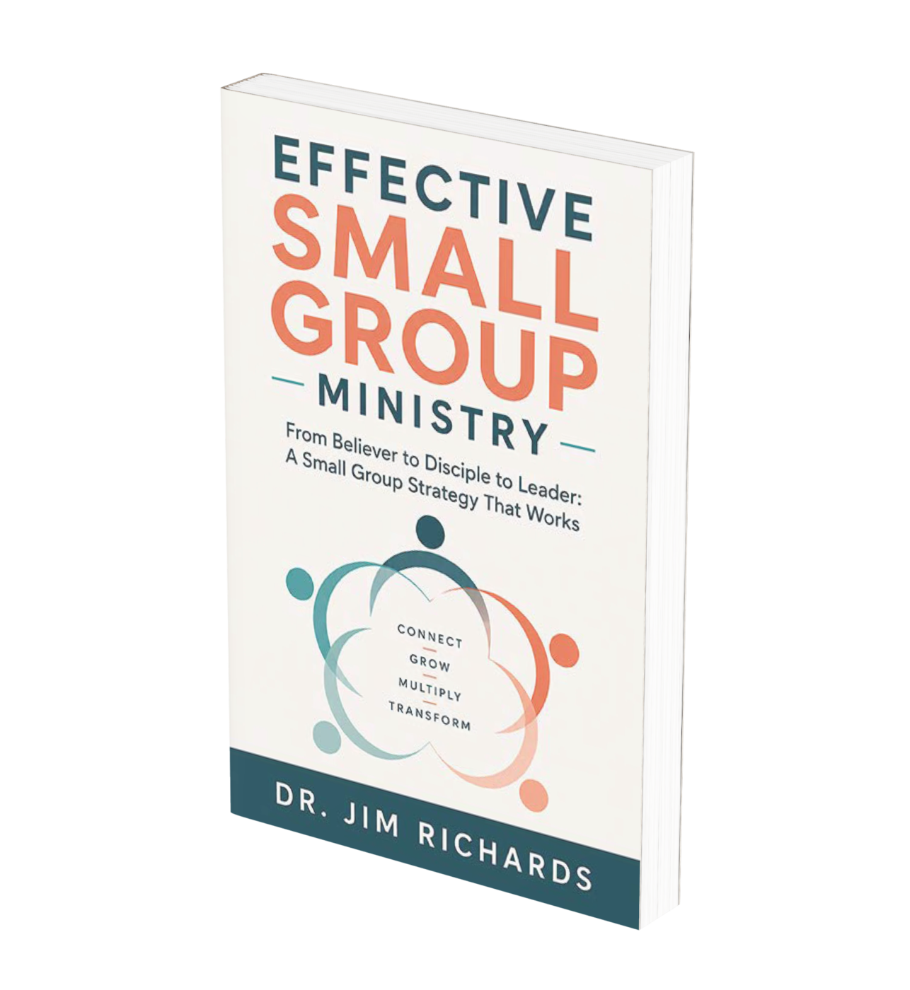 Effective Small Group Ministry (Book)